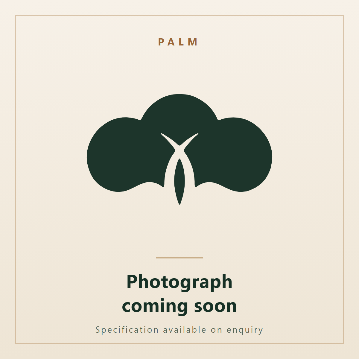 Borassus flabellifer. Ornatec International, photograph coming soon.