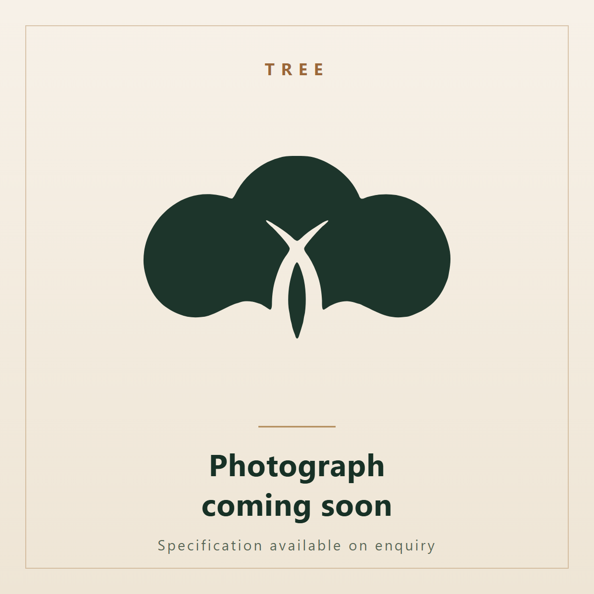 Brownea coccinea, Scarlet Flame Bean Tree. Ornatec International, photograph coming soon.