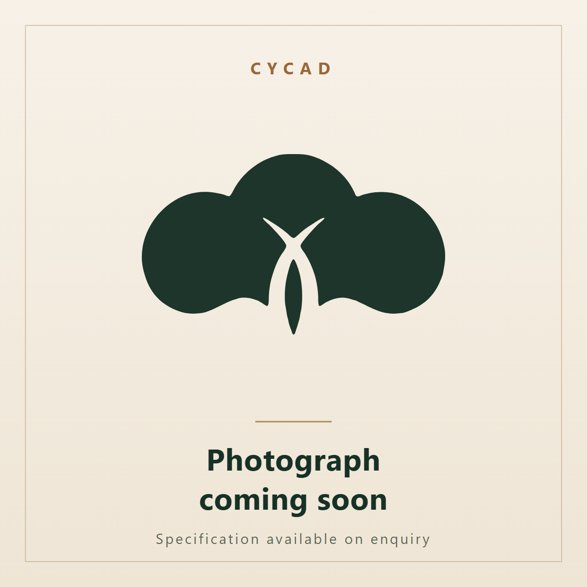 Cycas thouarsii, Madagascar Sago. Ornatec International, photograph coming soon.