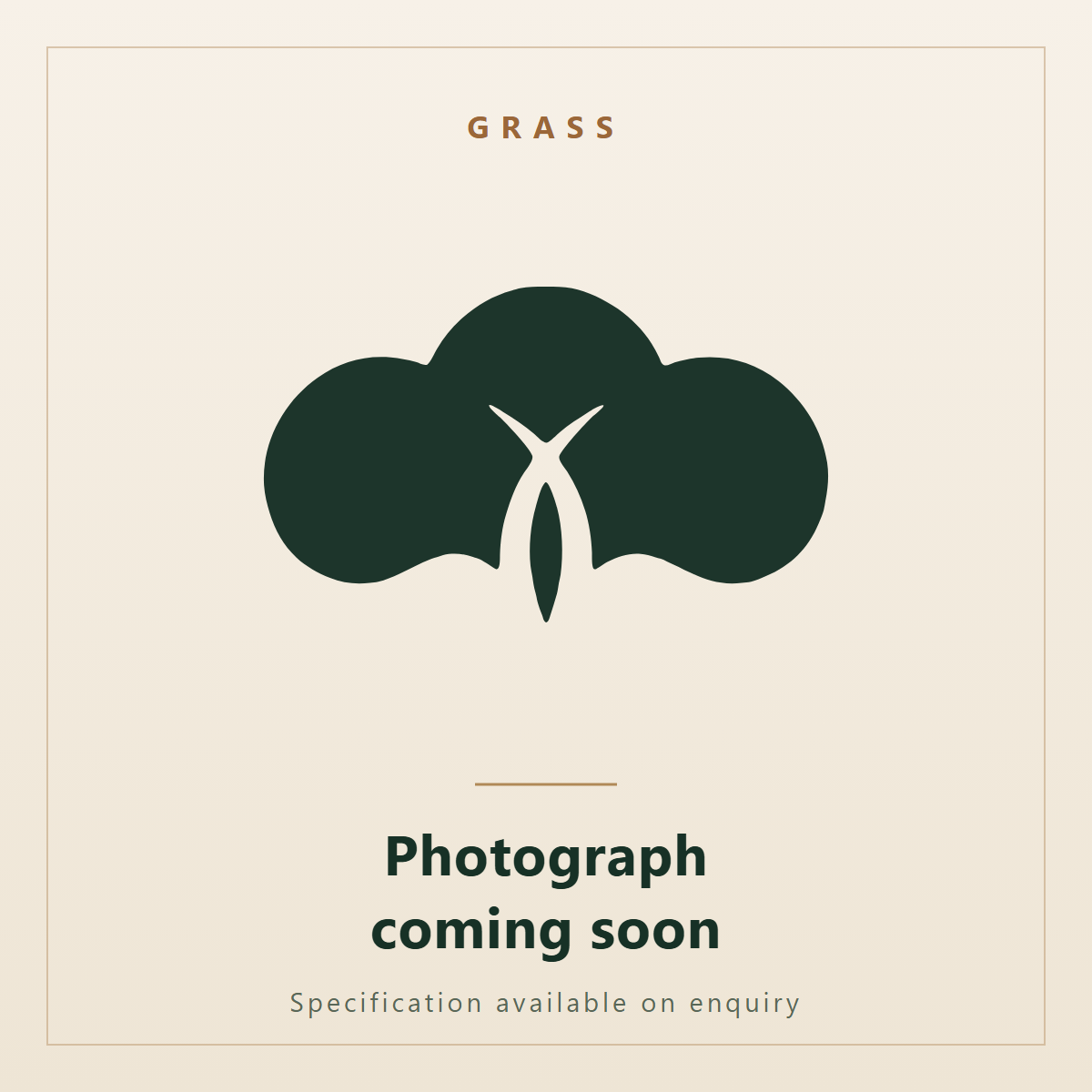 Phragmites australis. Ornatec International, photograph coming soon.
