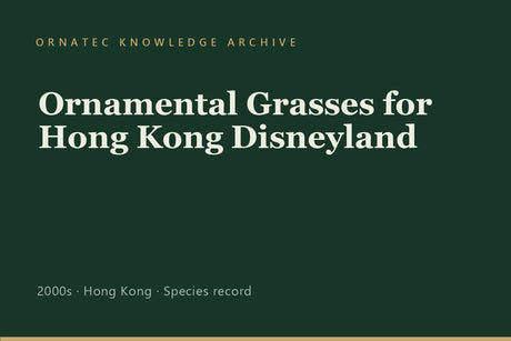 Ornamental Grasses for Hong Kong Disneyland