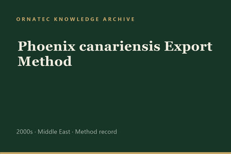 Method Statement: Moving Phoenix canariensis Across Oceans