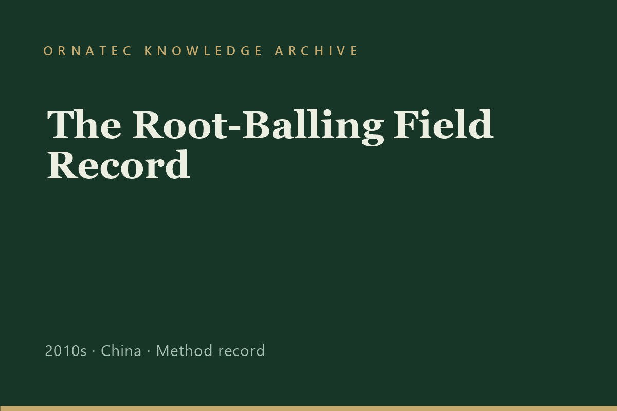 How a Mature Tree Is Lifted and Root-Balled: A Field Record