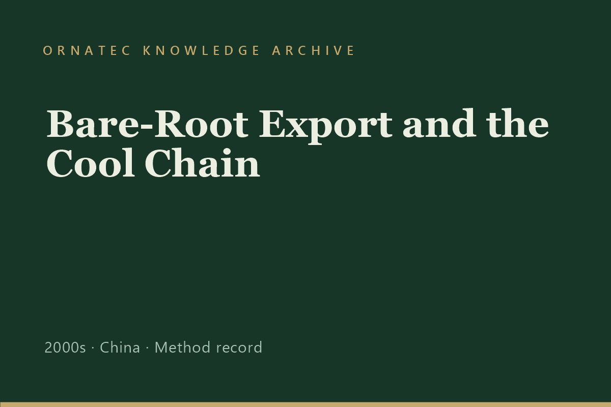 Bare-Root Export and the Cool Chain