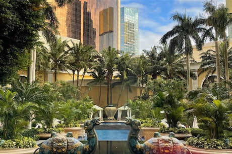 Feature palms in a luxury resort landscape