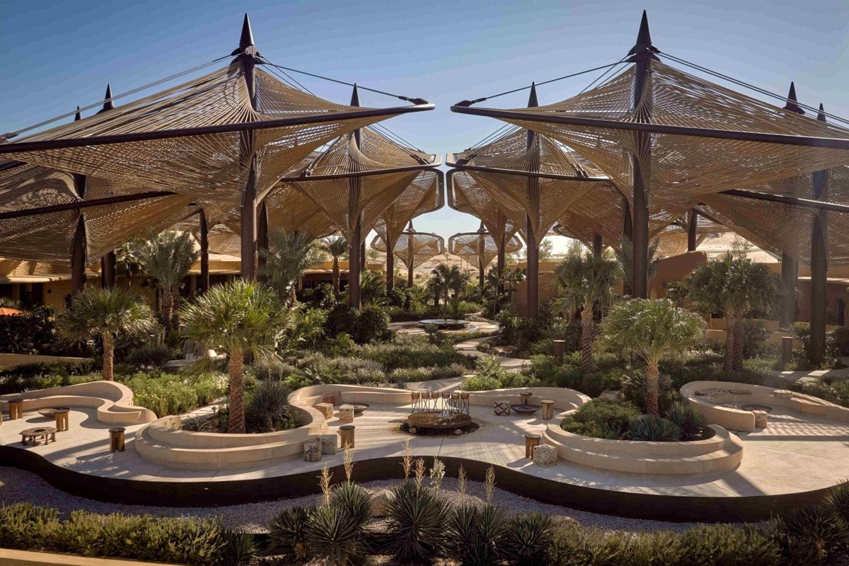 Arid coastal dune landscape with resilient planting