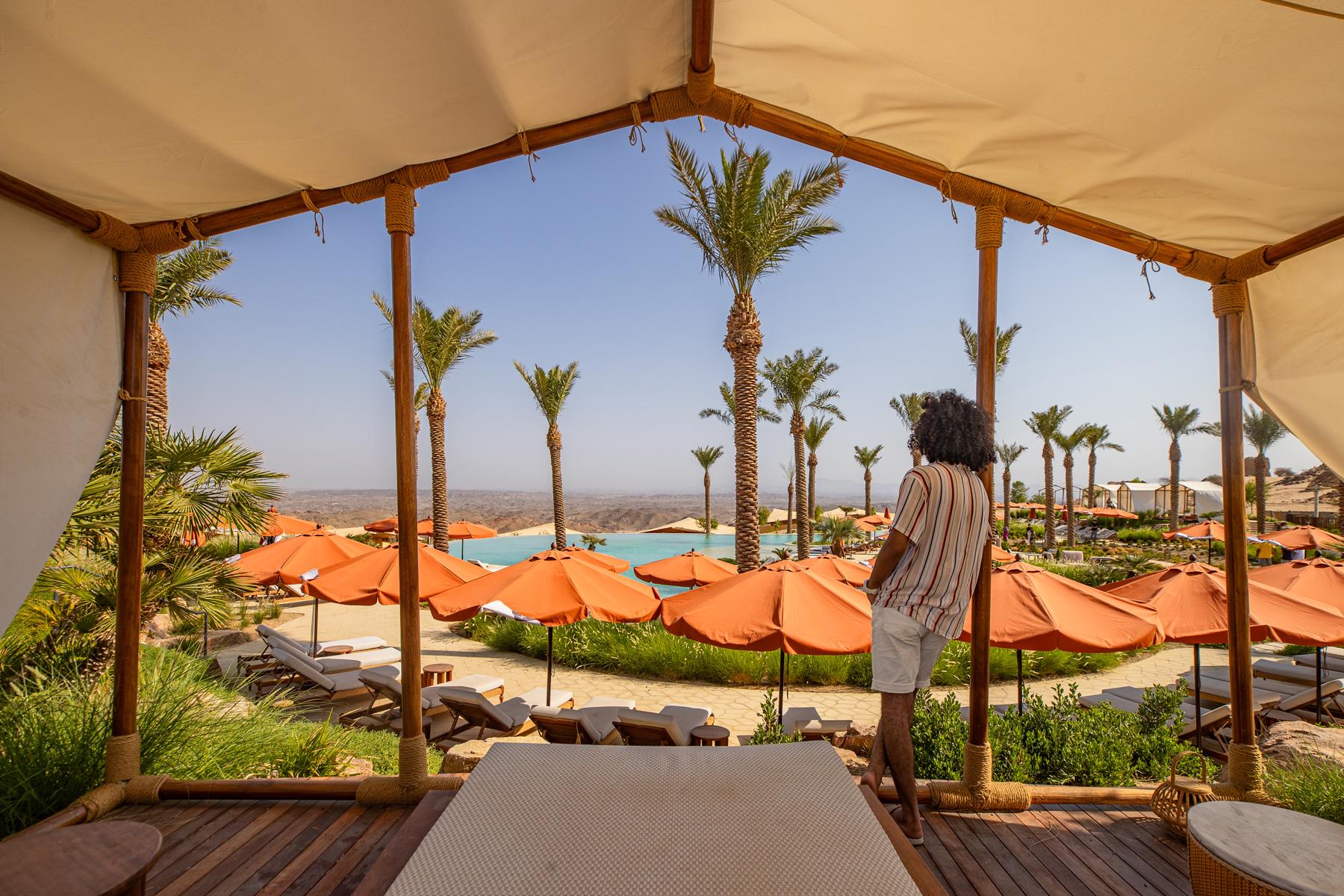 Red Sea Global nursery and destination supply